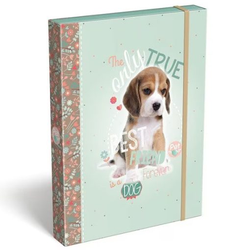 Lizzy Card füzetbox A/5, Pet Dog