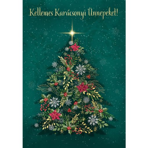 Cardex Karácsonyi képeslap borítékkal