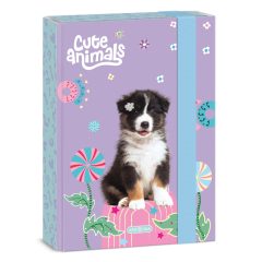 ARS UNA füzetbox  A/5 Cute Animals, Aussie
