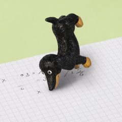 Brunnen radír, Tacskó