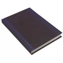 Realsystem tanítói zsebkönyv 2026/2027 Kék