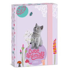 ARS UNA füzetbox A/5 Cute Animals Kitten Cicás