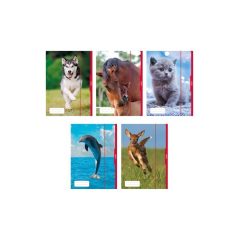 HERLITZ gumis mappa A/3