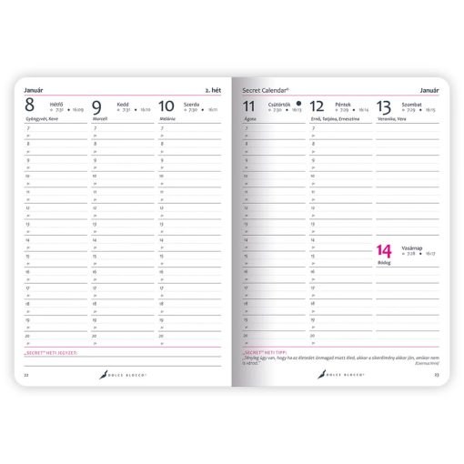 Dolce Blocco Secret Calendar 2026. évi - Sweet Birdy