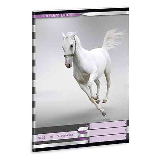 ARS UNA füzet A/5 32 lapos szótár, Dream Bar, lovas, 31-32