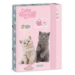 ARS UNA füzetbox  A/5 Cute Animals, Tea Party, Cicák