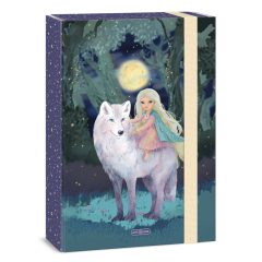 ARS UNA füzetbox  A/4 Northern Lights