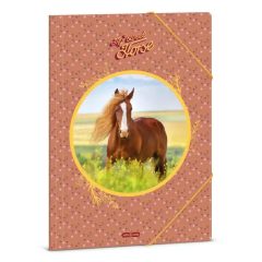 ARS UNA gumis mappa A/4 My Sweet Horse, Lovas