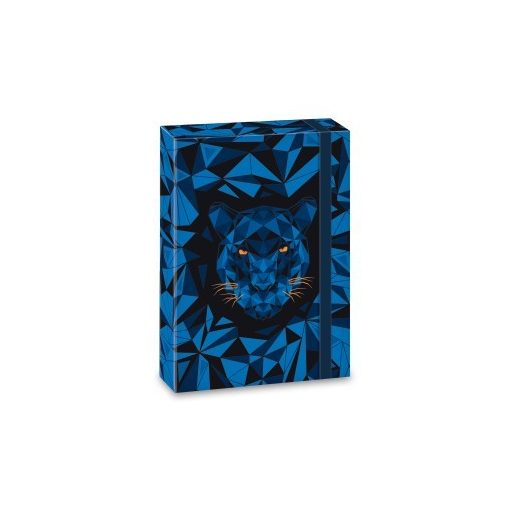 ARS UNA füzetbox  A/4 Black Panther