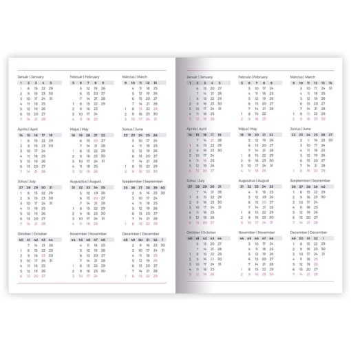 Határidőnapló, agenda A/5 napi Lizzy Card 2026. évi Bird