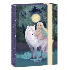 ARS UNA füzetbox A/5 Northern Lights